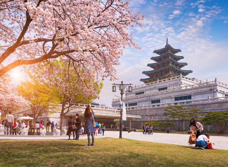 Điều kiện xin visa du lịch Hàn Quốc: Chuẩn bị đúng để hành trình suôn sẻ