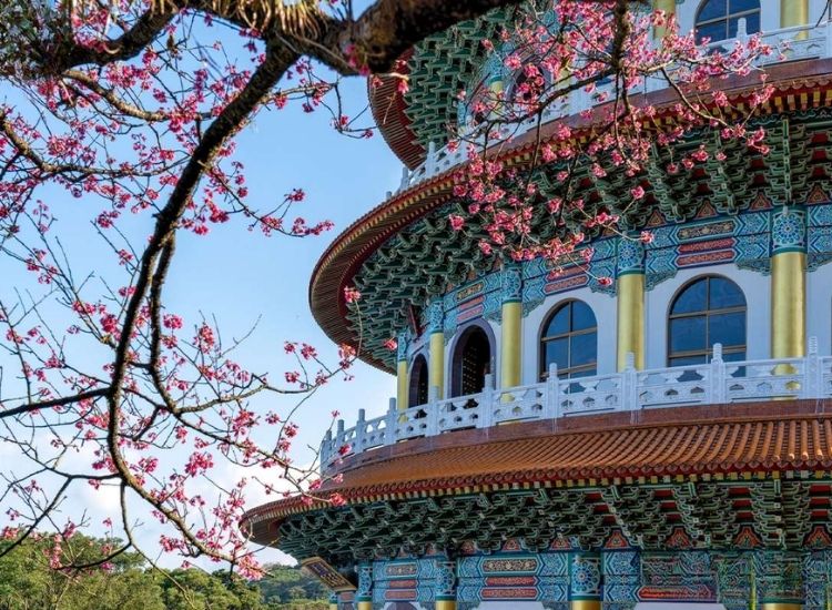 Điều kiện xin E visa Đài Loan mới nhất 2026