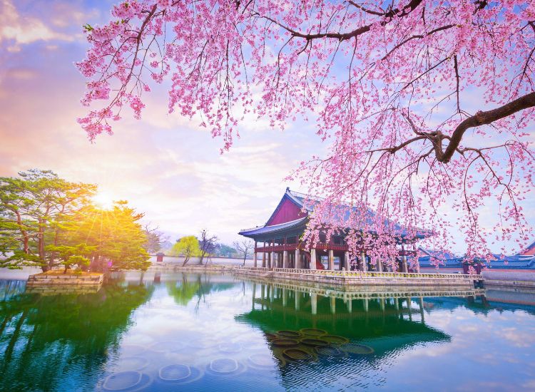 Hồ sơ xin visa Hàn Quốc - Chuẩn bị đúng ngay từ đầu để hành trình suôn sẻ