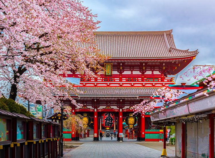 Những lưu ý quan trọng khi làm hồ sơ xin visa Nhật Bản