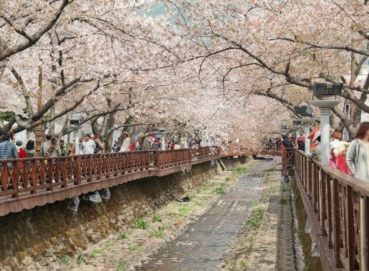 Thủ tục xin visa công tác Hàn Quốc: Hướng dẫn chi tiết từ A–Z