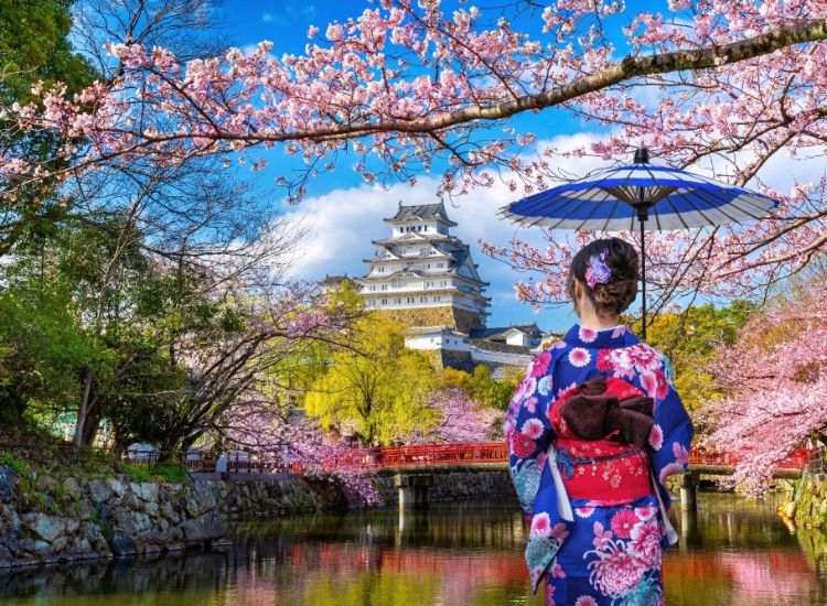 Hướng dẫn chi tiết thủ tục xin visa Nhật Bản cho người mới