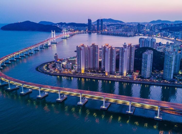 Visa thăm thân Hàn Quốc - Hướng dẫn chi tiết từ kinh nghiệm thực tế