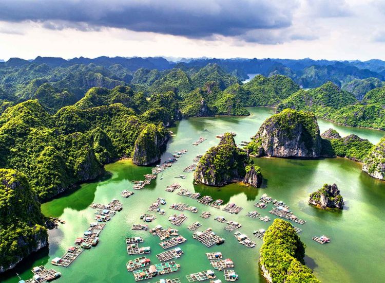 Xin e visa Việt Nam mất bao lâu? Giải đáp chi tiết từ A–Z cho người mới