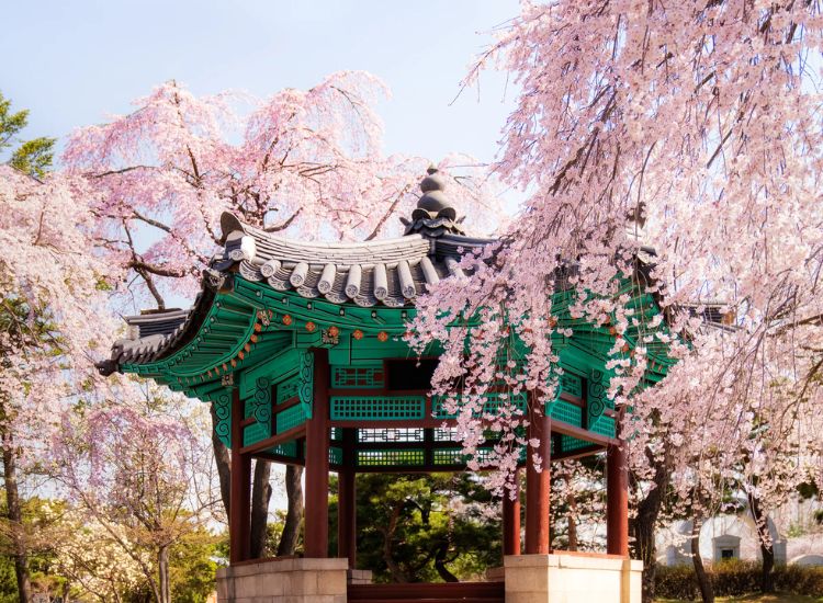 Hướng dẫn xin visa du lịch Hàn Quốc 3 tháng chi tiết