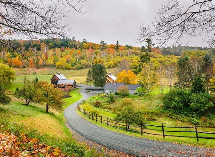 Chiến lược xin visa Mỹ cho người lớn tuổi 2