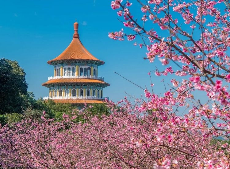 đi Đài Loan có cần visa không 2