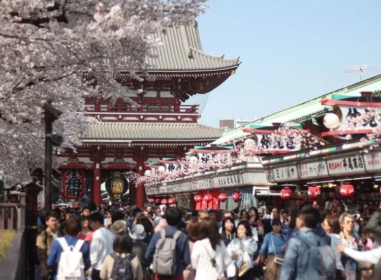 Hồ sơ xin visa Nhật Bản 2