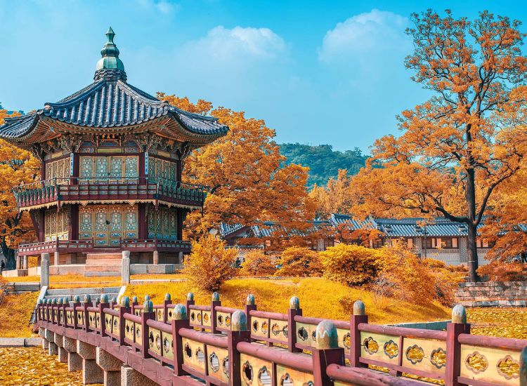 Dịch vụ làm visa Hàn Quốc và lợi ích