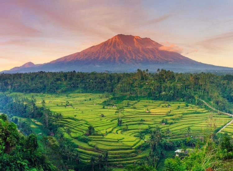 Dịch vụ làm visa Indonesia và cam kết