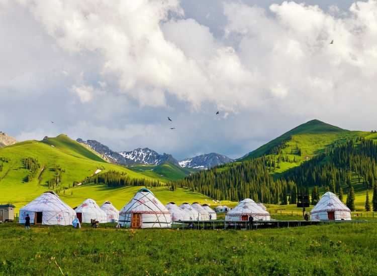 dịch vụ làm visa Mông Cổ trọn gói tại Hải Đăng Visa