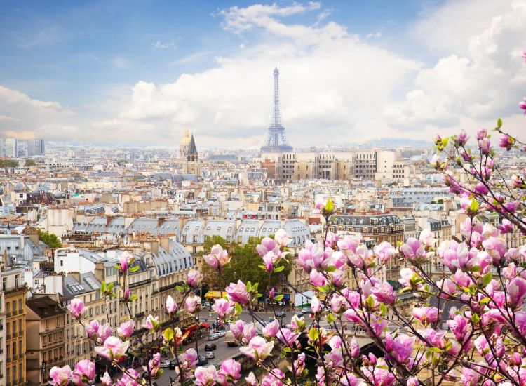 Dịch vụ làm visa Pháp và cam kết