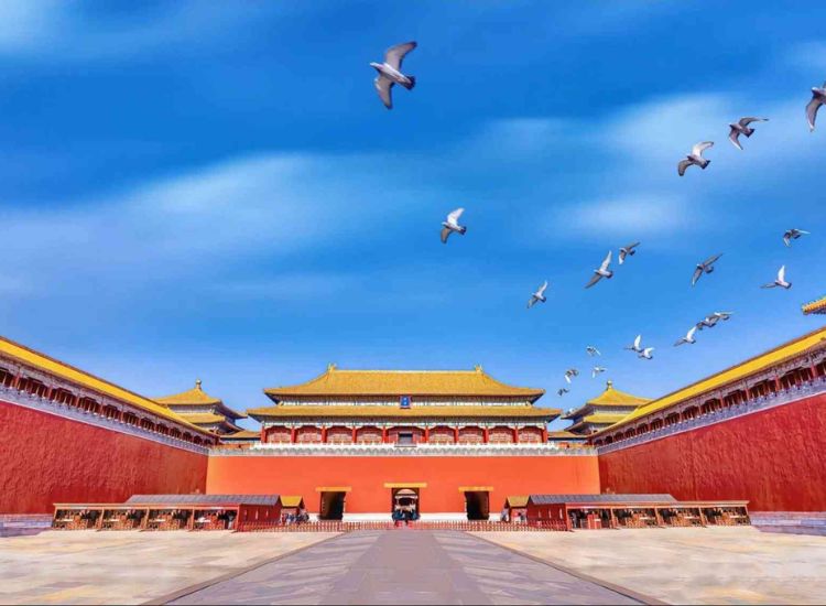 Dịch vụ làm visa Trung Quốc trọn gói tại Hồ Chí Minh 3