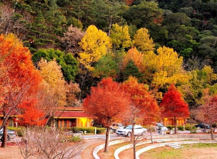 Dịch vụ visa Đài Loan trọn gói 3