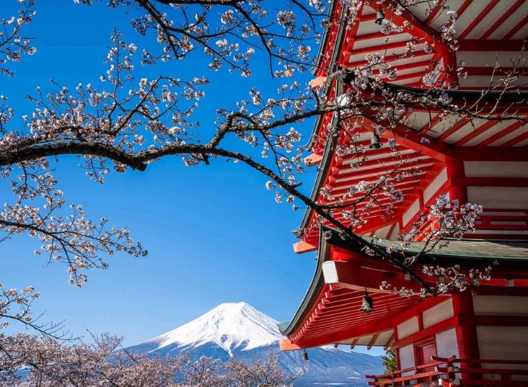 Điều kiện xin visa Nhật Bản năm 2026 và lưu ý