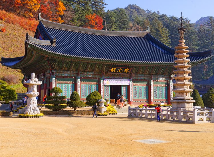 e visa Hàn Quốc 2