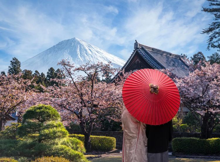 Hộ Chiếu Trắng Xin Visa Nhật Bản Được Không 1