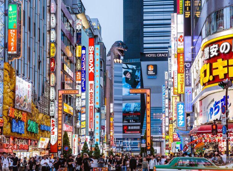 Hộ Chiếu Trắng Xin Visa Nhật Bản Được Không 3