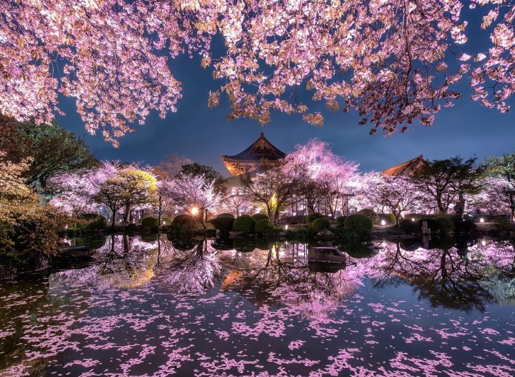 Hồ sơ xin visa Nhật Bản cần những gì?