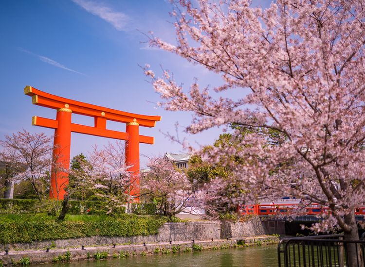 Các bước làm hồ sơ xin visa Nhật Bản