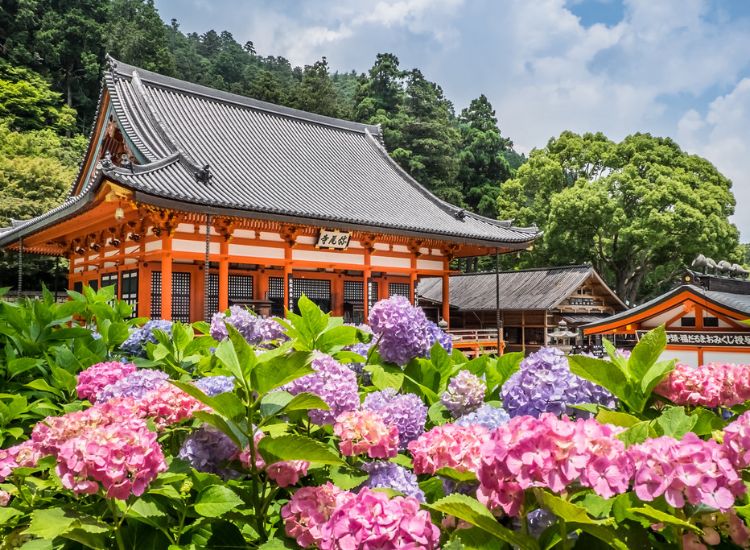 Kinh nghiệm làm hồ sơ xin visa Nhật Bản nhanh chóng