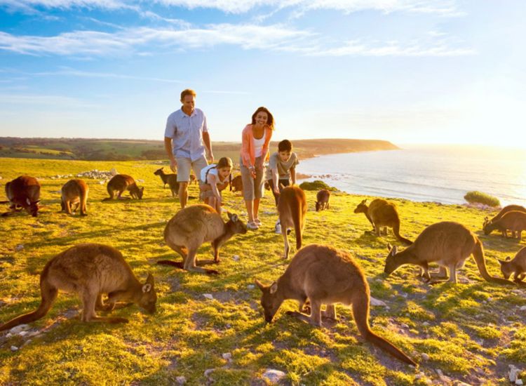 Hợp đồng lao động ràng buộc yếu visa Úc 2