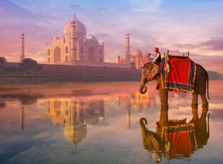 Hướng Dẫn Chi Tiết Xin Visa Ấn Độ cho người mới