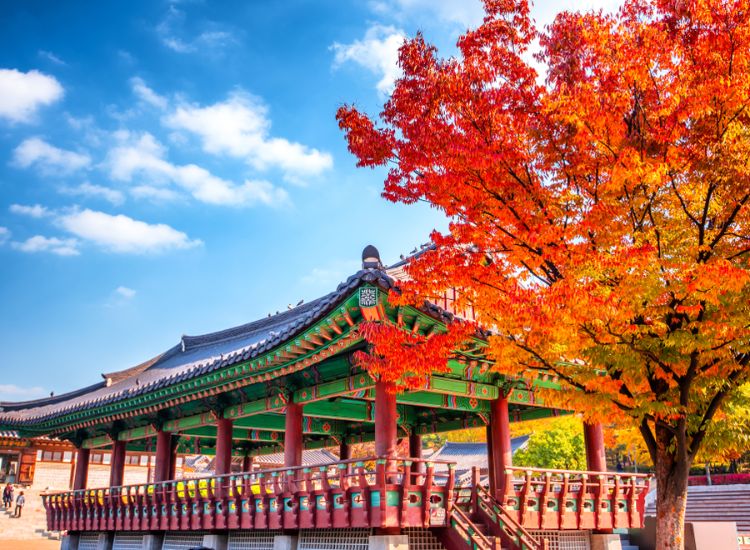 Những trường hợp không được cấp visa Hàn Quốc 3