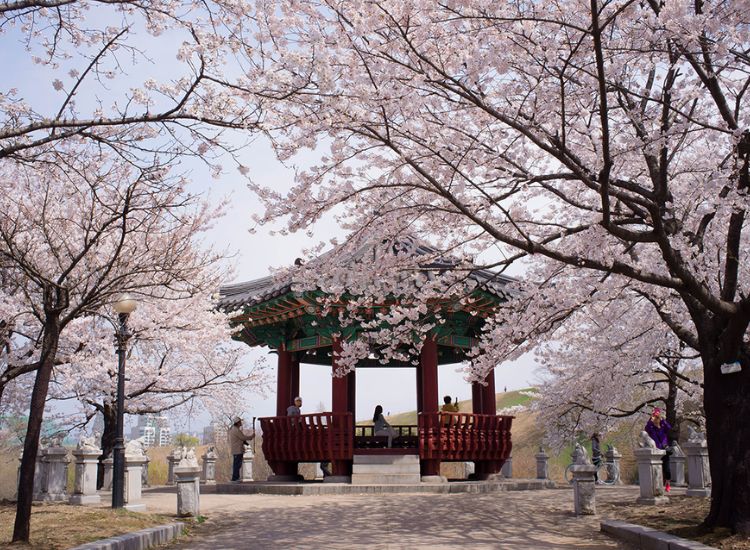 Phí làm visa Hàn Quốc 5 năm bao nhiêu? 1