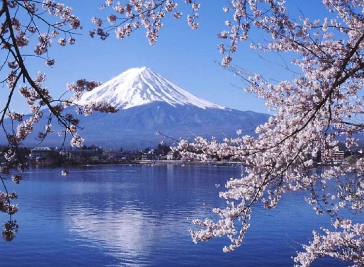 Nhật Bản dự kiến tăng phí visa từ 2026 2