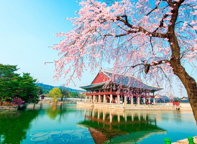 Thời gian trả kết quả visa Hàn Quốc là bao lâu? 1