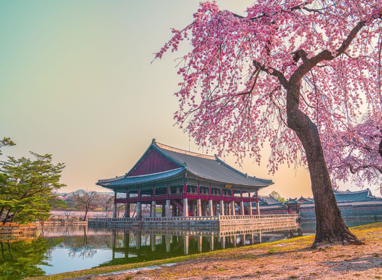 Thủ tục xin visa du lịch Hàn Quốc 1