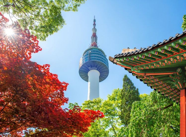 Thủ tục xin visa du lịch Hàn Quốc 3