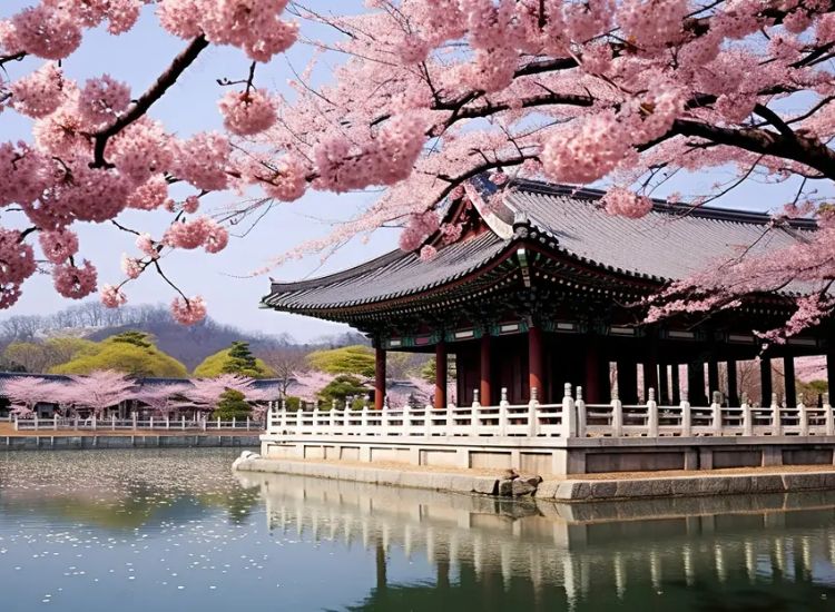 Thủ tục xin visa Hàn Quốc 5 năm bao gồm những gì 2