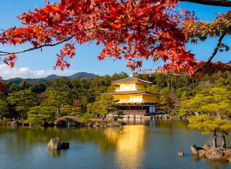 Những giấy tờ cần chuẩn bị cho thủ tục xin visa Nhật Bản