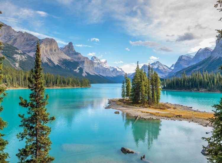 Làm visa Canada hết bao nhiêu tiền