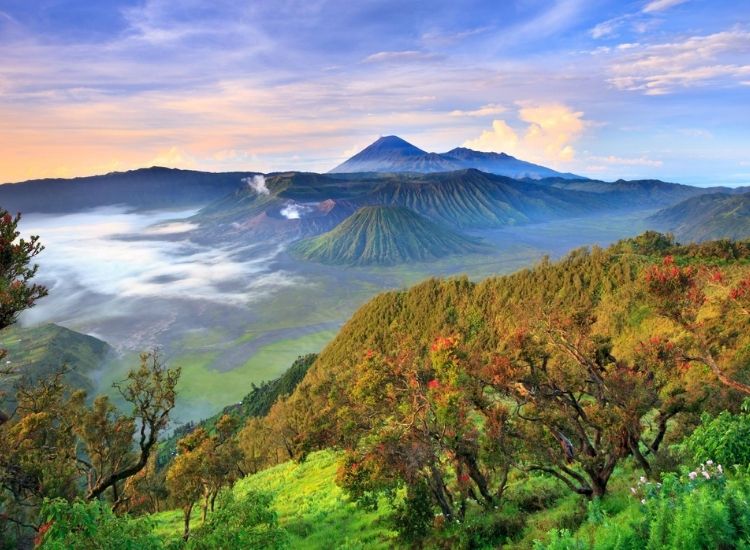 Làm visa Indonesia hết bao nhiêu tiền