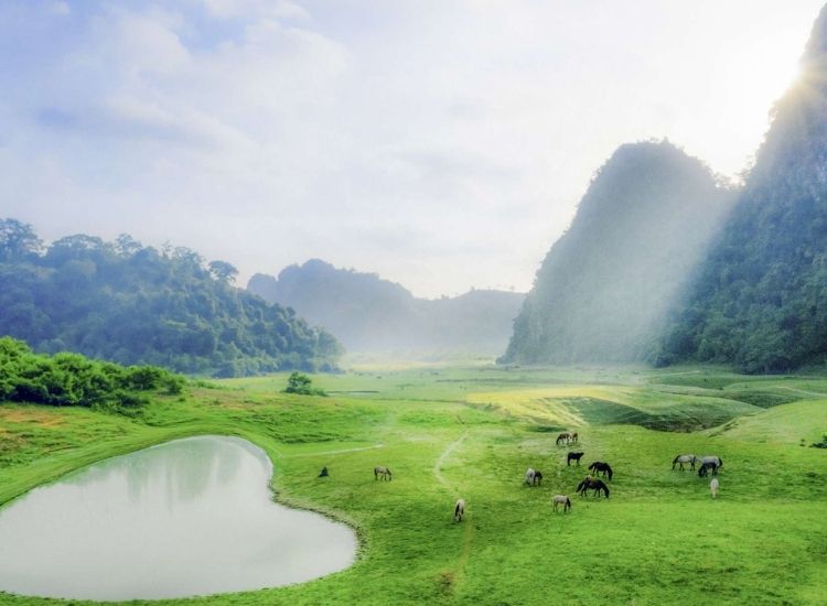 Làm visa Mông Cổ hết bao nhiêu tiền?