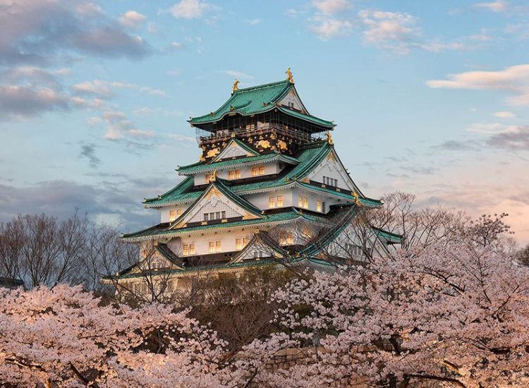 Visa Nhật Bản chữa bệnh khẩn cấp 2