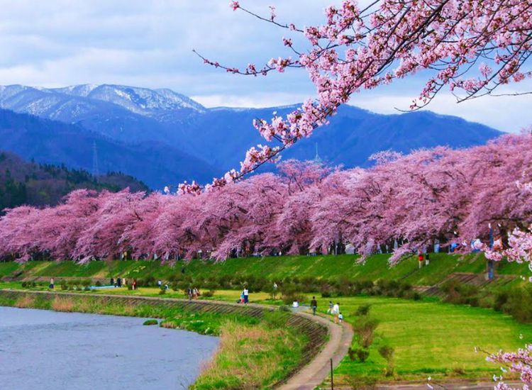 Visa Nhật Bản chữa bệnh khẩn cấp 3