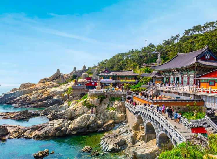 Visa công tác Hàn Quốc là gì? 3