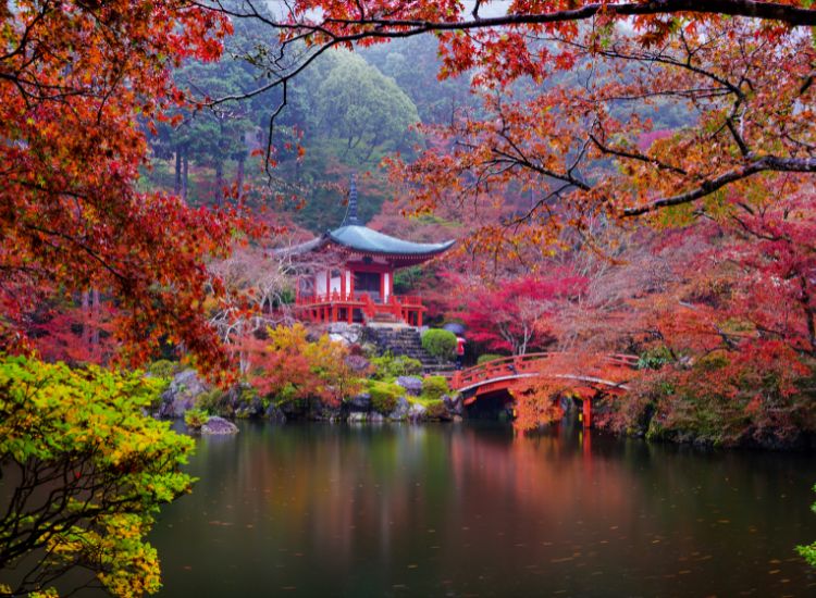 Kinh nghiệm xin visa du lịch Nhật Bản và điều kiện